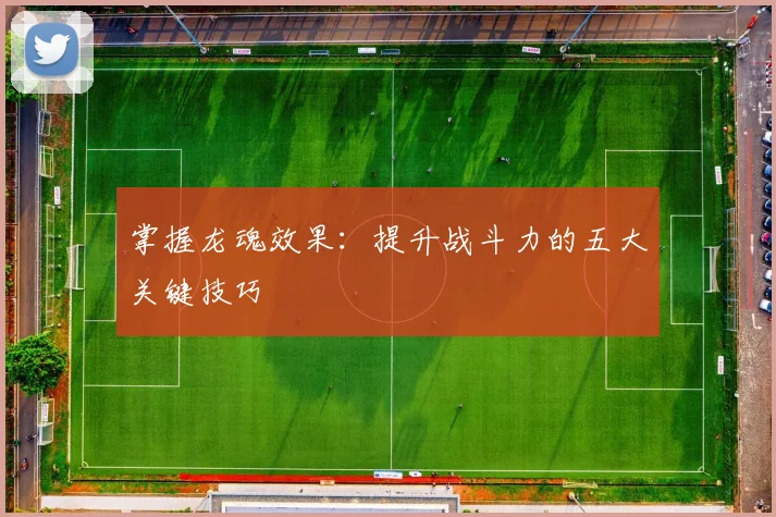 掌握龙魂效果:提升战斗力的五大关键技巧